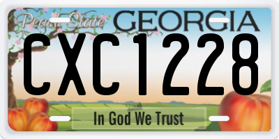 GA license plate CXC1228
