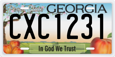 GA license plate CXC1231