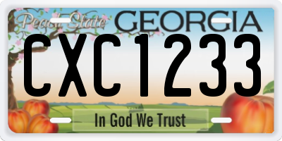 GA license plate CXC1233