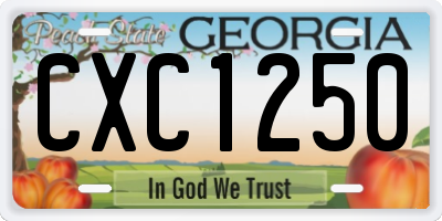 GA license plate CXC1250