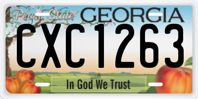 GA license plate CXC1263