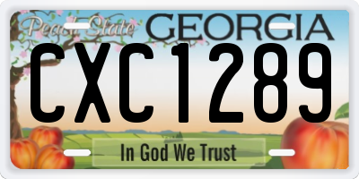 GA license plate CXC1289