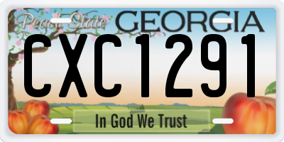 GA license plate CXC1291