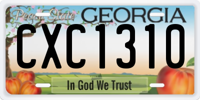 GA license plate CXC1310