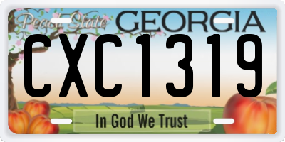 GA license plate CXC1319
