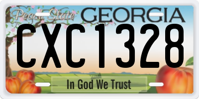 GA license plate CXC1328