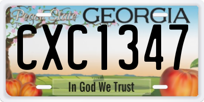 GA license plate CXC1347