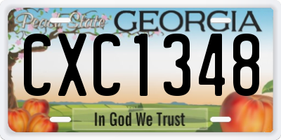 GA license plate CXC1348
