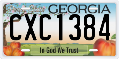 GA license plate CXC1384