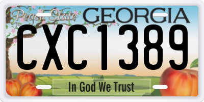 GA license plate CXC1389
