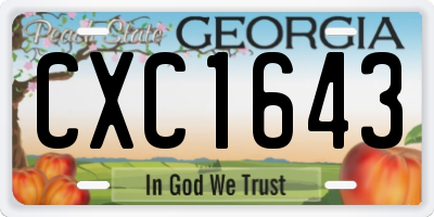 GA license plate CXC1643
