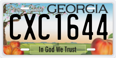 GA license plate CXC1644