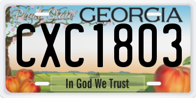 GA license plate CXC1803