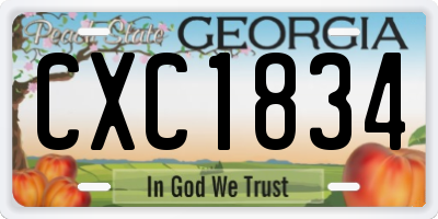 GA license plate CXC1834