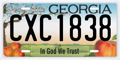 GA license plate CXC1838
