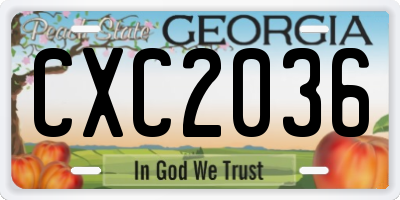 GA license plate CXC2036