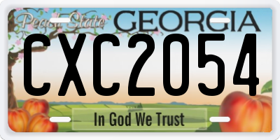 GA license plate CXC2054