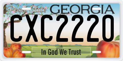 GA license plate CXC2220