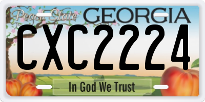 GA license plate CXC2224