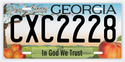 GA license plate CXC2228