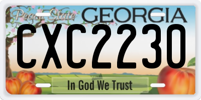 GA license plate CXC2230