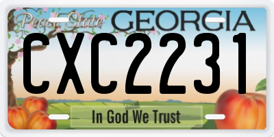 GA license plate CXC2231
