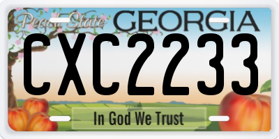 GA license plate CXC2233