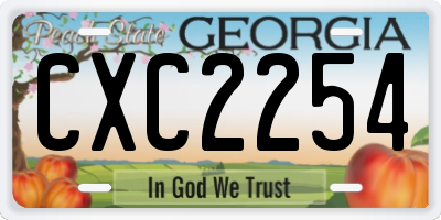 GA license plate CXC2254
