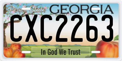 GA license plate CXC2263