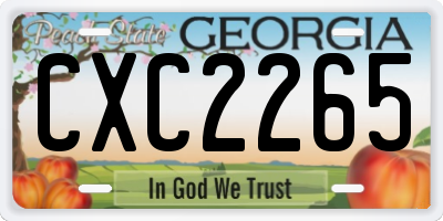GA license plate CXC2265
