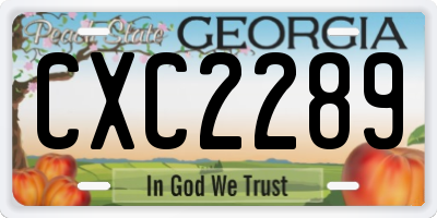 GA license plate CXC2289