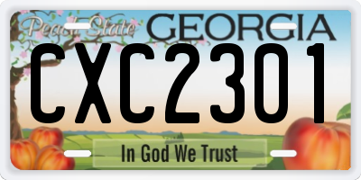 GA license plate CXC2301