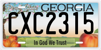 GA license plate CXC2315
