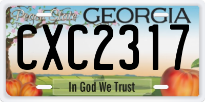 GA license plate CXC2317