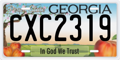 GA license plate CXC2319