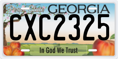 GA license plate CXC2325