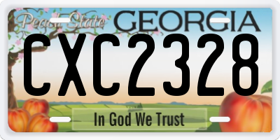 GA license plate CXC2328