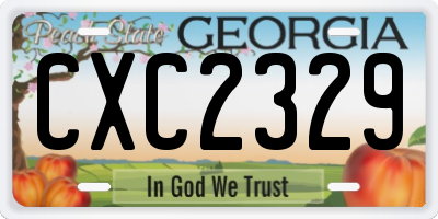 GA license plate CXC2329