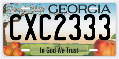 GA license plate CXC2333