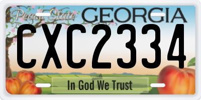 GA license plate CXC2334