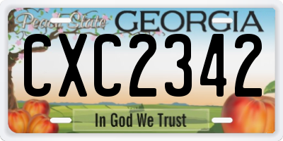 GA license plate CXC2342