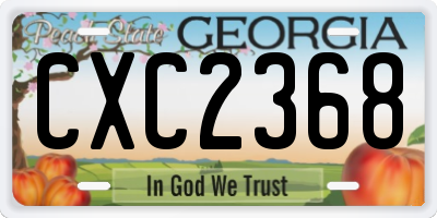 GA license plate CXC2368