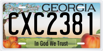 GA license plate CXC2381