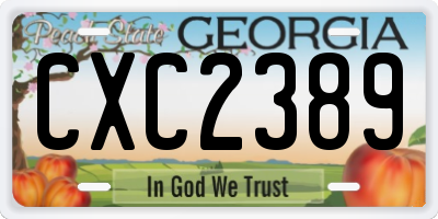 GA license plate CXC2389