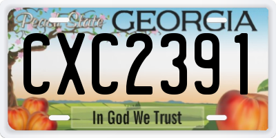 GA license plate CXC2391