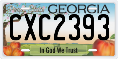 GA license plate CXC2393