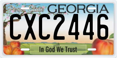 GA license plate CXC2446