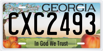 GA license plate CXC2493