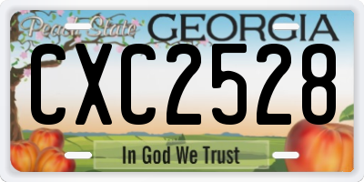 GA license plate CXC2528
