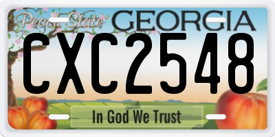 GA license plate CXC2548